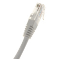 China besten Preis weiß cat6 utp Ethernet Kabel